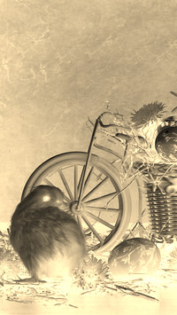 Sepia + Negatyw