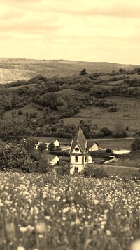 Szary + Sepia
