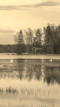 Szary + Sepia