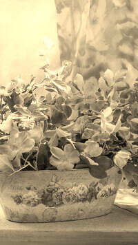 Sepia