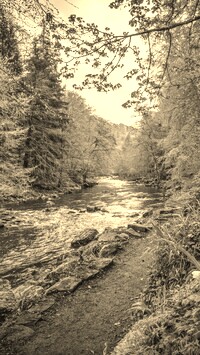 Szary + Sepia