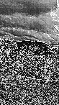 Skamielina