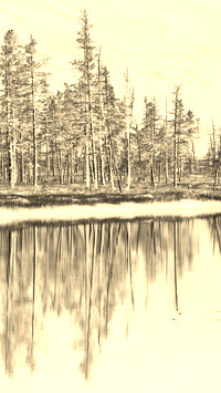 Sepia + Negatyw