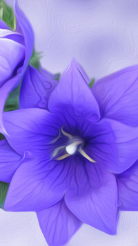 Oryginalny obrazek