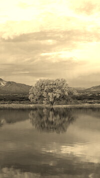Szary + Sepia