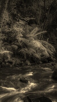 Szary + Sepia