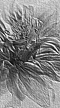 Skamielina