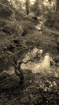 Szary + Sepia