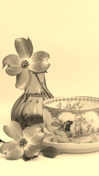 Szary + Sepia