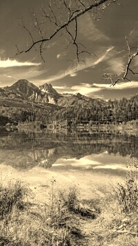 Szary + Sepia