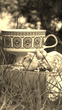 Szary + Sepia