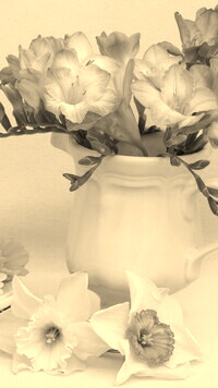 Szary + Sepia