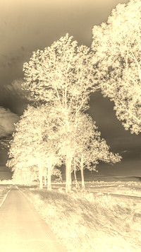 Sepia + Negatyw