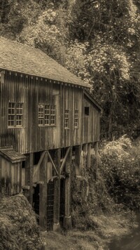 Szary + Sepia