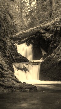 Sepia