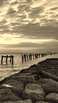 Sepia