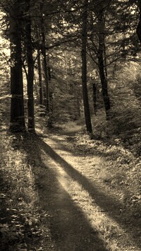 Szary + Sepia