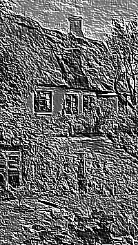 Skamielina
