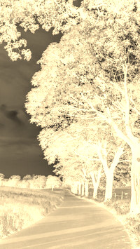 Sepia + Negatyw
