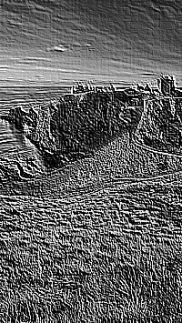 Skamielina