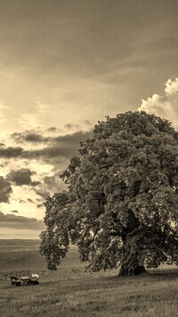 Szary + Sepia