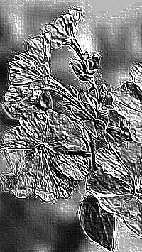Skamielina