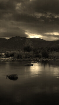 Sepia