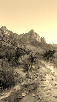 Sepia