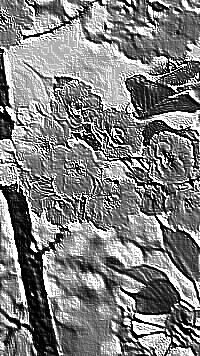 Skamielina