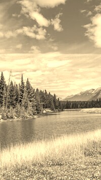 Sepia
