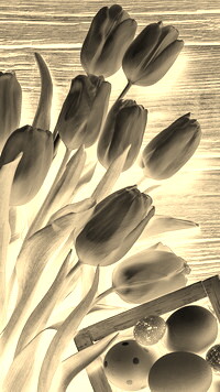 Sepia + Negatyw