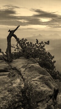 Szary + Sepia