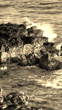 Sepia