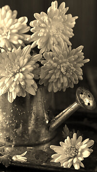 Sepia