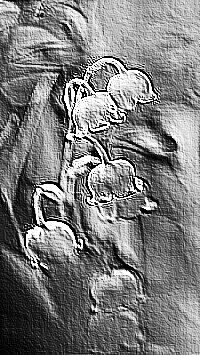 Skamielina