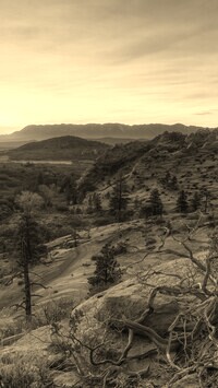 Sepia