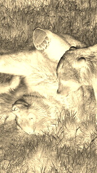 Sepia + Negatyw