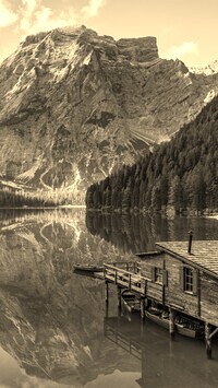 Szary + Sepia
