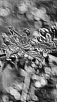 Skamielina