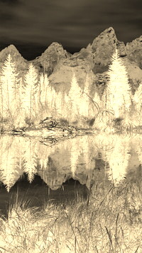 Sepia + Negatyw