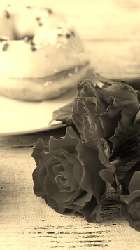 Szary + Sepia