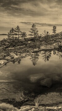 Sepia