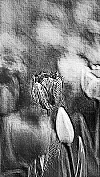 Skamielina