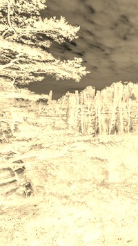 Sepia + Negatyw