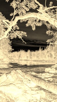 Sepia + Negatyw