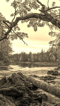 Szary + Sepia
