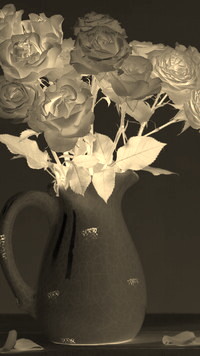 Sepia + Negatyw