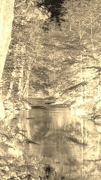 Sepia + Negatyw