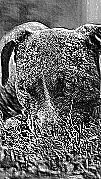Skamielina
