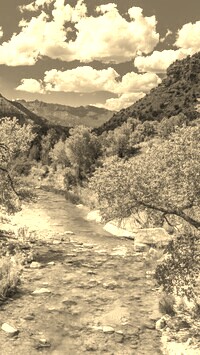 Sepia